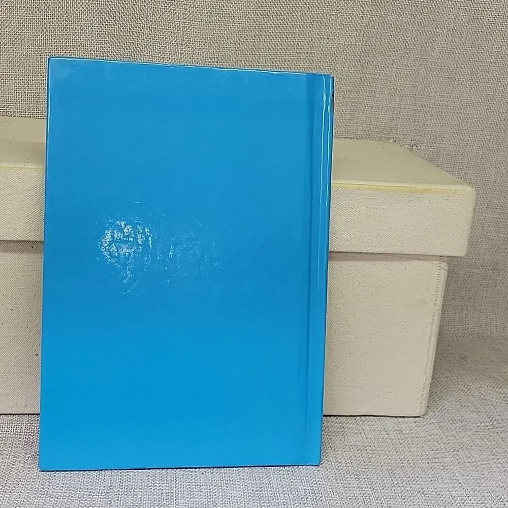 Disney's Lady and The Tramp II‎ vhs, books and Tramp plush